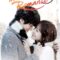 Khát Khao Hạnh Phúc – I Need Romance (2014) Full HD Thuyết Minh Tập 12